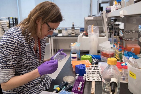 Laboratorio de la Universidad de Nueva York en el Centro de Alejandría para las Ciencias de la Vida en Nueva York, uno de los centros que trabajan en la creación de ADN. Foto Ap