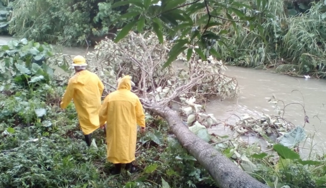 Chiapas, en alerta naranja por lluvias torrenciales expresochiapas