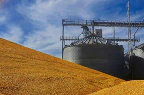 En el primer cuatrimestre de 2019 las importaciones de maíz amarillo desde Estados Unidos se incrementaron 14.1 por ciento, al llegar a 4.7 millones de toneladas. Foto/Ap