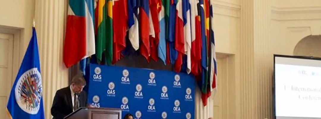 Un proceso electoral libre construye cimientos sólidos para promover la estabilidad y la prosperidad de cualquier país, dijo la embajadora durante la sesión ordinaria del Consejo Permanente de la OEA. Imagen @MisionMexOEA