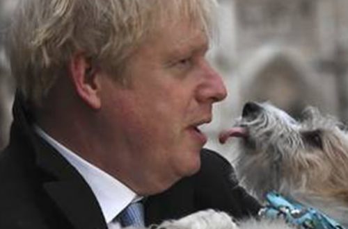 El primer ministro británico y líder del Partido Conservador, Boris Johnson, con su perro ‘Dilyn’, ayer luego de votar en el Methodist Central Hall, en Westminster, Londres. Foto Ap