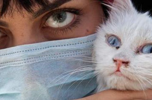El brote de coronavirus, que comenzó en China, ha infectado a más de 82 mil personas en todo el mundo. En la imagen, una mujer iraquí y su mascota durante una protesta en Basra. Foto Afp