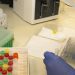 Una científica realiza pruebas clínicas en el laboratorio de Inmunología de UW Medicine en busca de anticuerpos contra el SARS-CoV-2, una cepa de virus que causa la enfermedad de Covid-19. Foto AFP