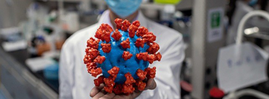 Un ingeniero muestra un modelo plástico del coronavirus en un laboratorio de Pekín, China. Foto Afp