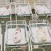 Bebés subrogados en un hotel de la compañia Biotexcom en Ucrania. Pantallazo retomado de Youtube BioTexCom