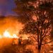 Los incendios en Pantanal llevan ardiendo más de una semana pese a ser combatidos por bomberos, ambientalistas y hacendados. Foto Afp