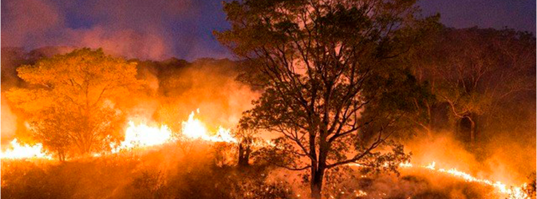 Los incendios en Pantanal llevan ardiendo más de una semana pese a ser combatidos por bomberos, ambientalistas y hacendados. Foto Afp