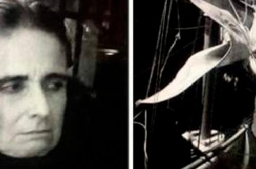 ‘Teatralidades epidémicas: Antonin Artaud, el teatro y la peste’, dirigida por Clarissa Malheiros y Juliana Faesler, se transmite en la cuenta de Facebook y el canal de YouTube de Teatro UNAM. Foto cortesía de la producción
