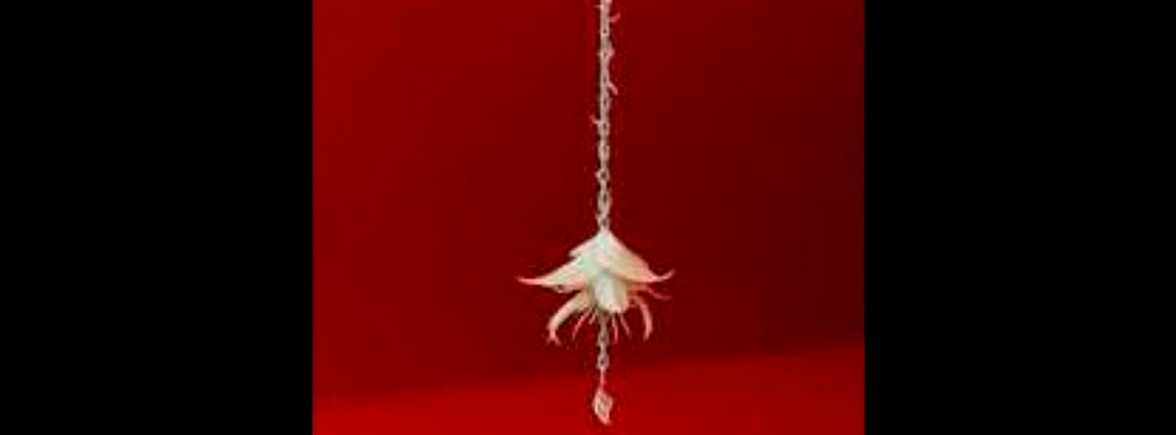 ‘Doppelganger’ (flor blanca de cera) 2020, cadena de hierro, micro-parafina blanca, latón y plata, es la pieza del colectivo ASMA que se integra la muestra ‘Otrxs mundxs’. Foto cortesía de los artistas y de la galería Peana