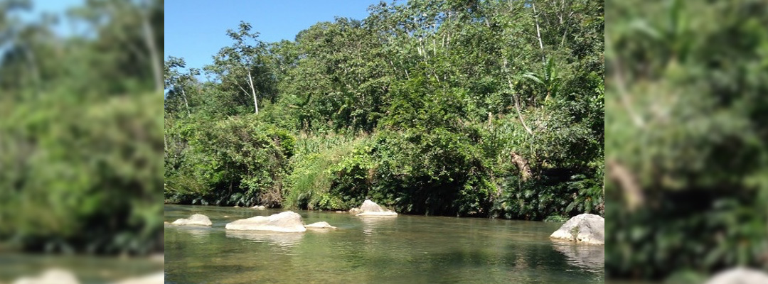 El río Guadalupe Paxilá en Chilón, Chiapas, en imagen de marzo pasado. Imagen tomada de Google Maps