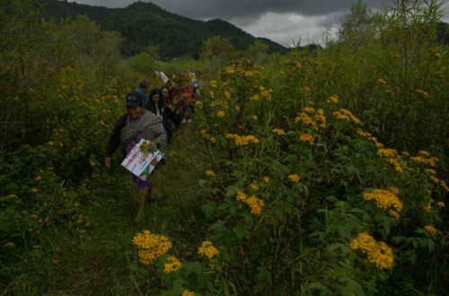 Integrantes de la Red Ambiental del Valle de Jovel en San Cristóbal de las Casas, Chiapas. Foto Cuartoscuro/Archivo