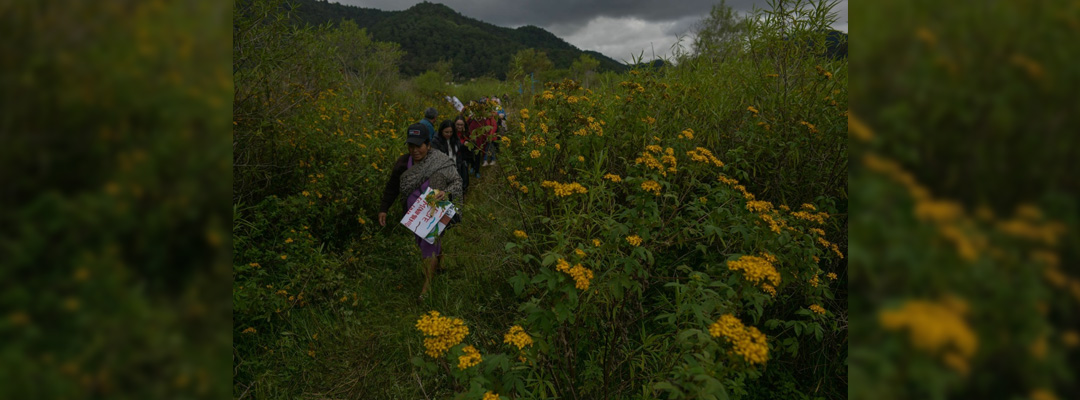 Integrantes de la Red Ambiental del Valle de Jovel en San Cristóbal de las Casas, Chiapas. Foto Cuartoscuro/Archivo
