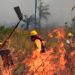 Bomberos combaten los incendios forestales en el departamento de Santa Cruz, Bolivia donde el fuego ha consumido 564 mil hectáreas en 2021. Foto Afp