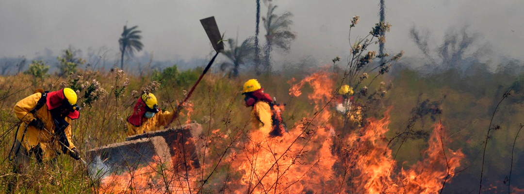 Bomberos combaten los incendios forestales en el departamento de Santa Cruz, Bolivia donde el fuego ha consumido 564 mil hectáreas en 2021. Foto Afp