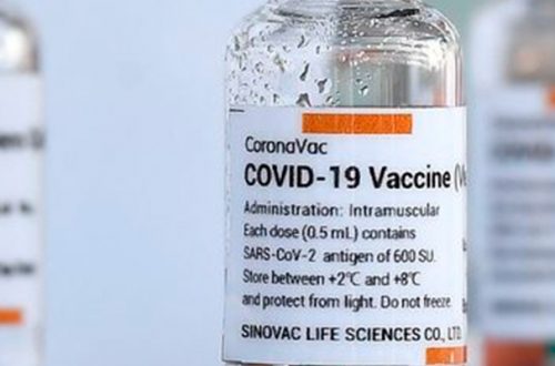 Viales de la vacuna CoronaVac, desarrollada por la firma china Sinovac. Foto Afp / Archivo