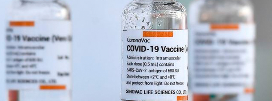Viales de la vacuna CoronaVac, desarrollada por la firma china Sinovac. Foto Afp / Archivo