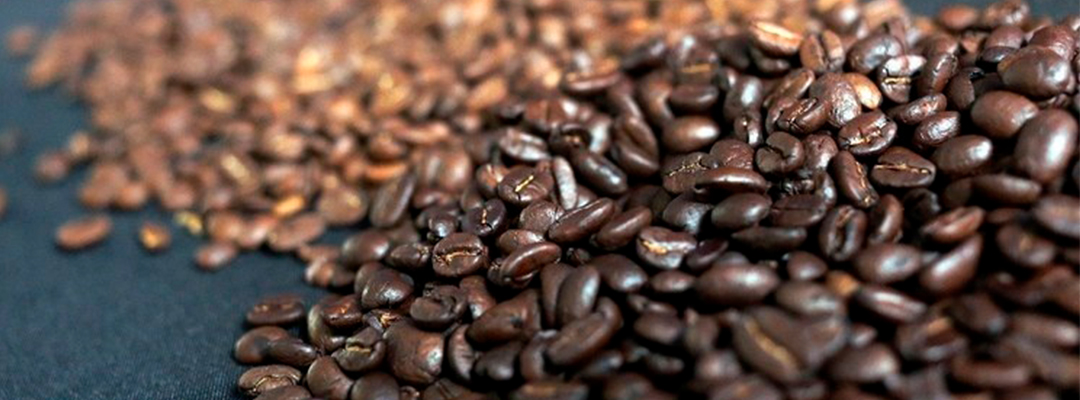 Granos de café, en imagen de archivo. Foto Cuartoscuro