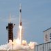 Despegue de un cohete Falcon 9 desde el Centro Espacial de la NASA en Cabo Canaveral (EE.UU.), el 30 de mayo de 2020. Joe Skipper / Reuters
