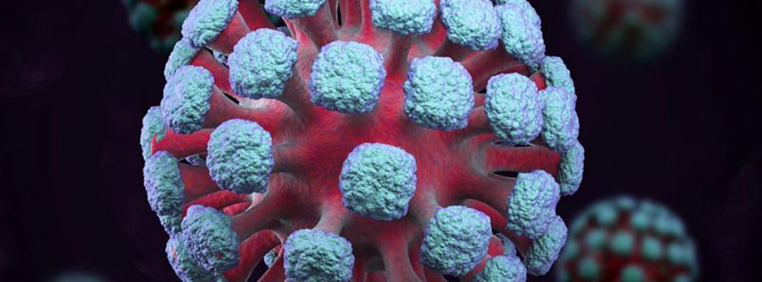 La infección por determinados tipos de PVH también es responsable de una parte de los cánceres de ano, vulva, vagina, pene y orofaringe. Foto: Pixabay
