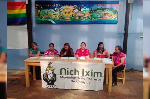 Integrantes del Movimiento de Parteras de Chiapas Nich Ixim. Foto ‘La Jornada’