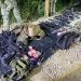 Pie de Foto.- El Ejército aseguró armamento de alto poder, chalecos antibala y vehículos, durante dos acciones realizadas en el municipio de Frontera Comalapa. Foto tomada de redes sociales