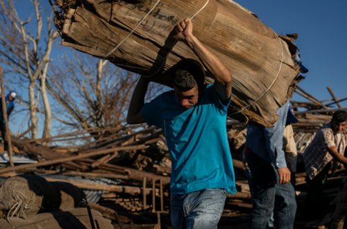 Trabajadores recuperan tabaco de un secadero que fue destruido por el huracán 'Ian' en La Coloma, provincia de Pinar del Río, Cuba, el pasado miércoles 5 de octubre. Foto Ap