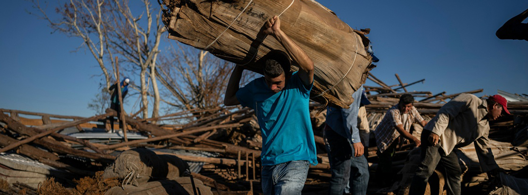Trabajadores recuperan tabaco de un secadero que fue destruido por el huracán 'Ian' en La Coloma, provincia de Pinar del Río, Cuba, el pasado miércoles 5 de octubre. Foto Ap