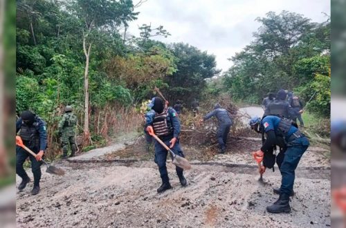Pie de Foto .- Elementos estatales de seguridad retiraron árboles y repararon una zanja que impedía la entrada y salida de vehículos de Tila, Chiapas en octubre de 2023. Foto ‘La Jornada