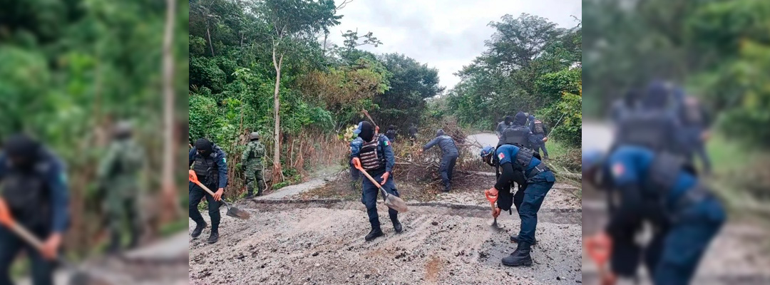 Pie de Foto .- Elementos estatales de seguridad retiraron árboles y repararon una zanja que impedía la entrada y salida de vehículos de Tila, Chiapas en octubre de 2023. Foto ‘La Jornada