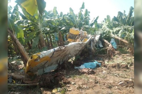 Pie de Foto.- La aeronave con matrícula XB-XEB de la empresa Aviación ALTDI Fumigación cayó en plantaciones de banano del rancho San Isidro. Foto ‘La Jornada’.