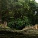Pie de Foto. - Yacimiento arqueológico de Yaxchilán, localizado sobre un meandro al margen del río Usumacinta, en el estado de Chiapas. Foto Cuartoscuro / Archivo