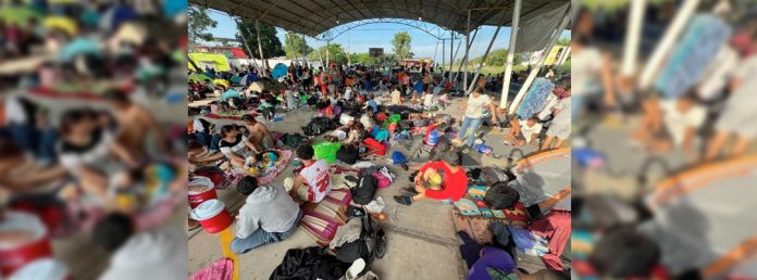 Pie de Foto.- Los migrantes quieren salir de la frontera sur por falta de empleo para esperar los trámites de regularización o citas de asilo a través de la aplicación de CBP One. Foto Édgar H. Clemente