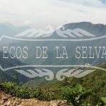 ECOS DE LA SELVA