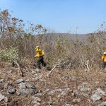 ESTATAL 4 INCENDIO 1