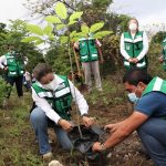 PORTADA – REFORESTA