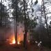 Elementos de Protección Civil de Altamirano, Chiapas, combaten un incendio forestal. Foto tomada de la cuenta de Twitter @pcivilchiapas