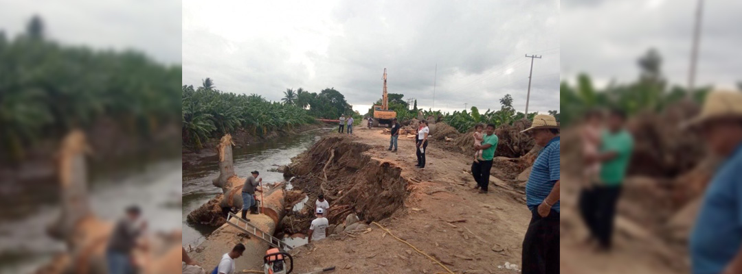 Pie de Foto.- Las lluvias en Chiapas han provocado daños en 44 municipios y afectaciones a casi 12 mil hectáreas de cultivos, informó la Secretaría de Protección Civil Estatal.