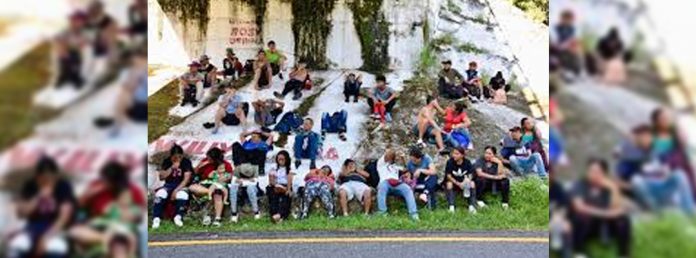 Pie de Foto.- Un segundo grupo de unos 400 extranjeros que salió de la frontera sur, avanzaba hacia el municipio de Escuintla. Foto Édgar H. Clemente