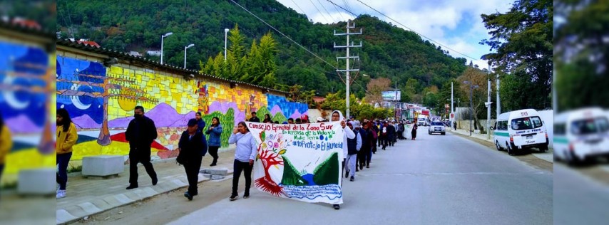 Pie de Foto.- Buscamos que la agroecología sea el elemento de unidad para la defensa de los humedales, así como la soberanía alimentaria mediante la creación de huertos, composta, gallineros, campañas de limpieza, aseveró el ambientalista Nicolás Gómez Velasco. Foto 'La Jornada'