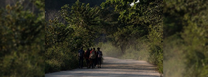 Pie de Foto.- Migrantes exponen su vida al caminar a la orilla de la carretera. Foto Cuartoscuro/Archivo