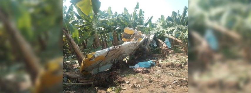 Pie de Foto.- La aeronave con matrícula XB-XEB de la empresa Aviación ALTDI Fumigación cayó en plantaciones de banano del rancho San Isidro. Foto ‘La Jornada’.