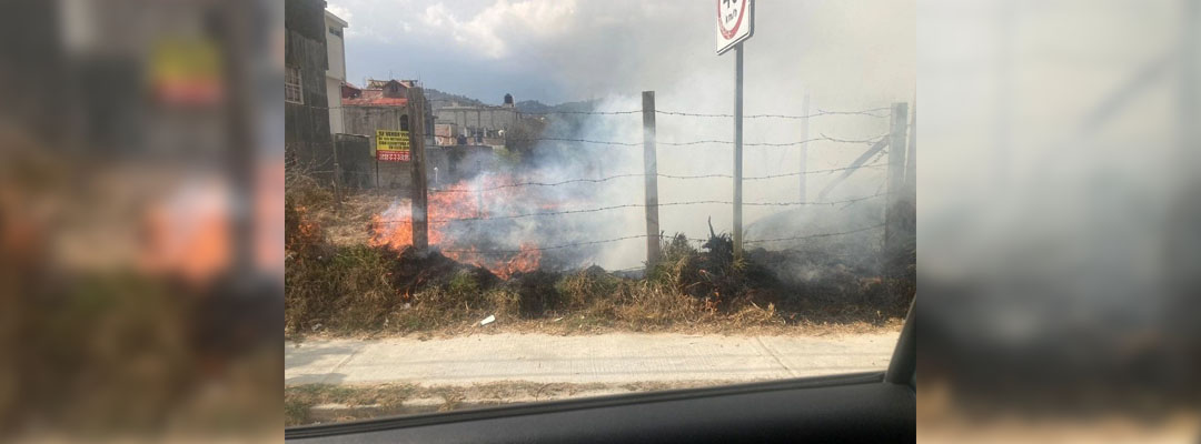 Pie de Foto.- La zona en la que ocurrió el incendio este lunes están los arroyos en los que habita el pez popoyote, especie endémica de San Cristóbal protegida por la Norma Oficial Mexicana”. Foto La Jornada.