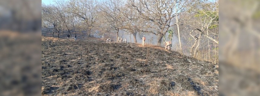 Pie de Foto.- 804 elementos de distintas corporaciones combaten los incendios forestales que se registran en Chiapas. Foto @pcivilchiapas