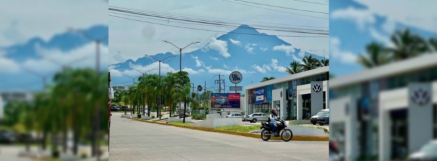Pie de Foto.- En Tapachula, Chiapas organizaciones civiles presentaron un proyecto para censar los árboles. Foto Edgar H. Clemente