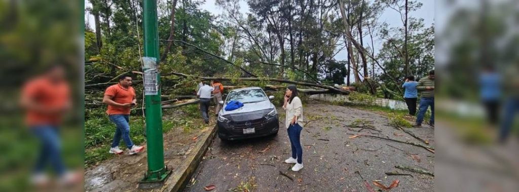 Pie de Foto.- César Cameras, comandante regional del cuerpo de Bomberos dijo que frente a la clínica del Instituto de Seguridad y Servicios Sociales de los Trabajadores del Estado (Issste), cayó un árbol sobre cuatro vehículos que estaban estacionados. Foto: La Jornada