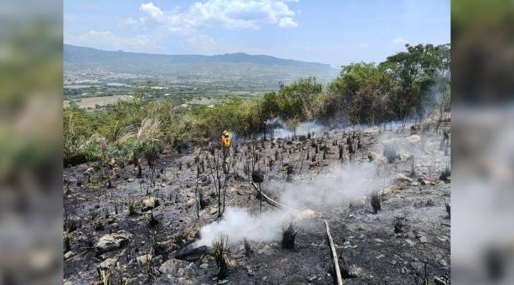 Pie de Foto.- Reiteraron que “esta preocupación es relevante porque el municipio suele sacar provecho turístico de esta comunidad, especialmente desde que, en 2023, obtuviera su nombramiento de Pueblo Mágico, otorgado por la Secretaría de Turismo federal”.