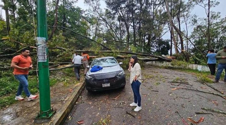 Pie de Foto.- César Cameras, comandante regional del cuerpo de Bomberos dijo que frente a la clínica del Instituto de Seguridad y Servicios Sociales de los Trabajadores del Estado (Issste), cayó un árbol sobre cuatro vehículos que estaban estacionados. Foto: La Jornada