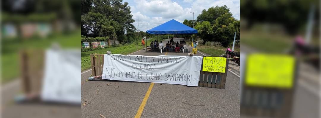 Bloquean en Chiapas planta de gusano barrenador por malos olores