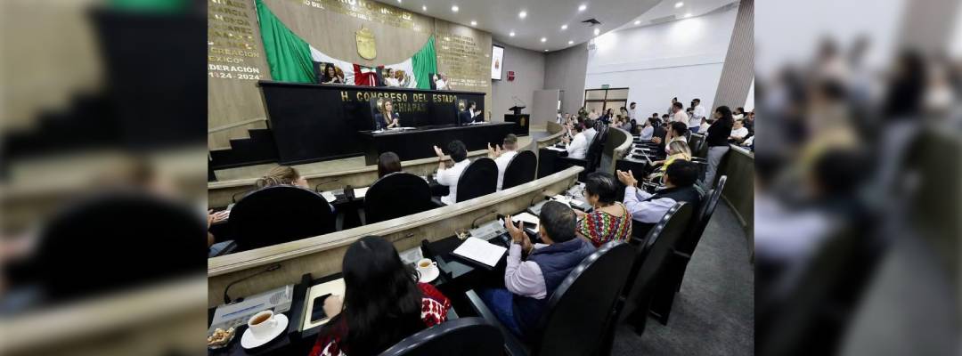 Aprueba Congreso regular servicios en materia de seguridad privada